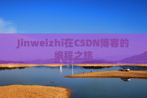 Jinweizhi在CSDN博客的编程之旅